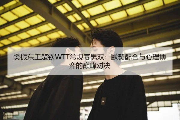 樊振东王楚钦WTT常规赛男双：默契配合与心理博弈的巅峰对决